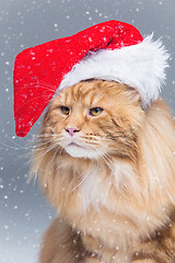 Image showing Big ginger cat in christmas hat