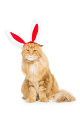 Image showing Big ginger cat in christmas rabbit ears head rim