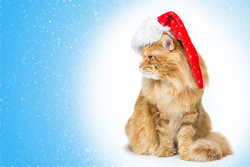 Image showing Big ginger cat in santa cap looking the side