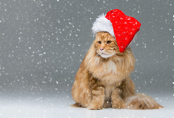 Image showing Big ginger cat in christmas hat