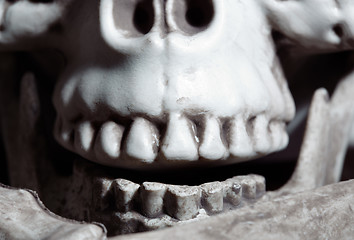 Image showing Close-up view on the human skull