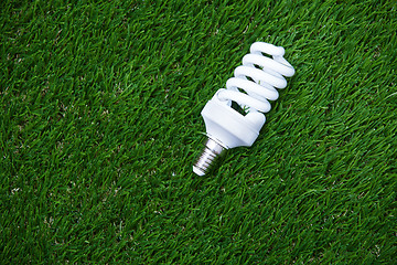 Image showing Energy saving bulb in the grass