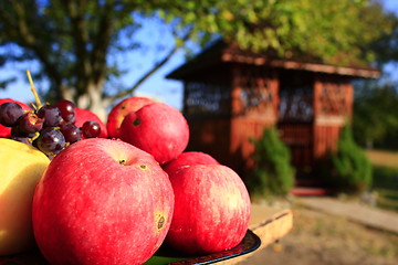 Image showing red apples on the arbor background