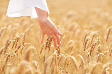 Image showing close up of woman hand in cereal field