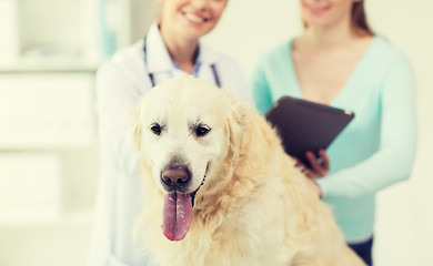 Image showing close up of vet with tablet pc and dog at clinic