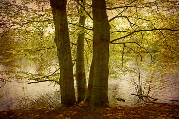 Image showing Postcard from Denmark (Series)