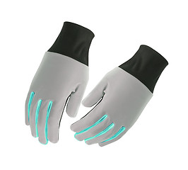 Image showing Protective gloves 