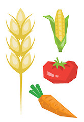 Image showing Vegetable products vector illustration.