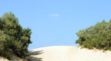 Image showing dune, barkhan