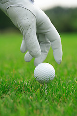 Image showing Detail of golf ball and gloves