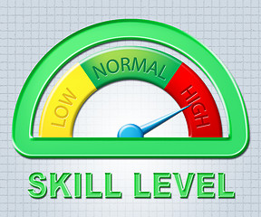 Image showing High Skill Level Means Measurement Abilities And Max