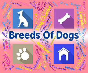 Image showing Breeds Of Dogs Represents Puppy Pups And Reproduce