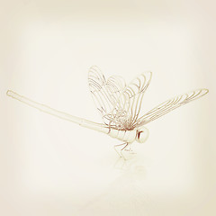 Image showing Dragonfly. 3D illustration. Vintage style.