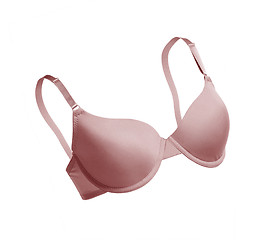 Image showing Bra