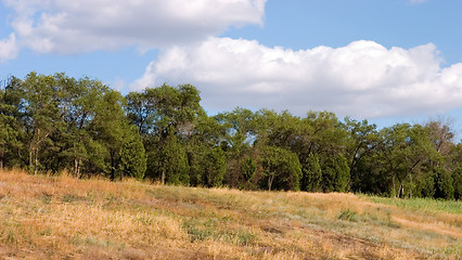 Image showing Summer landscape