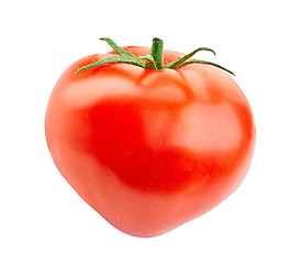 Image showing Ripe Tomato isolated