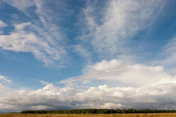 Image showing Summer landscape