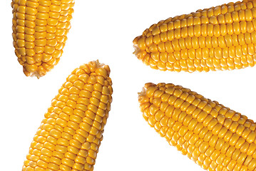 Image showing corn on white bacground