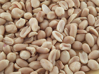 Image showing Salted peanuts