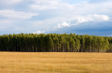Image showing Summer landscape