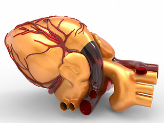 Image showing Model of artificial human heart 3d rendering