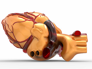 Image showing Model of artificial human heart 3d rendering