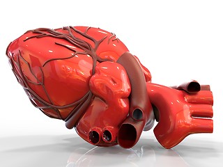 Image showing Model of artificial human heart 3d rendering