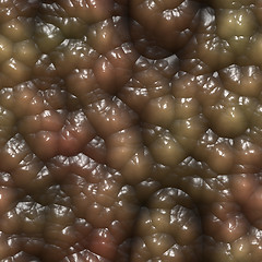 Image showing Slimy organic tissue 3d rendering