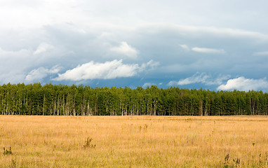 Image showing Summer landscape