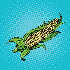 Image showing Ear of corn, harvest, agriculture