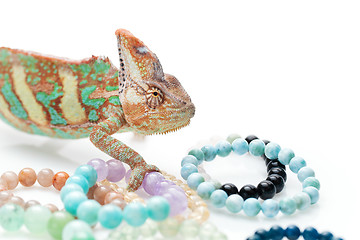 Image showing Beautiful chameleon with natural stone bracelets