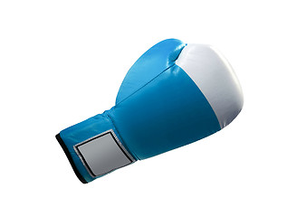 Image showing Blue protective boxing glove