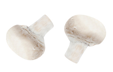 Image showing Button mushrooms