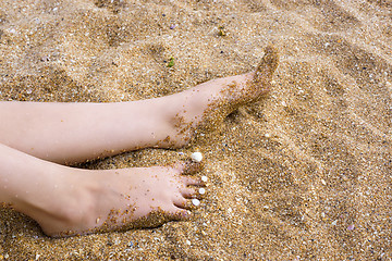 Image showing Sea shells on feet nails on beach