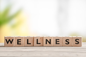 Image showing Wooden sign with the word wellness