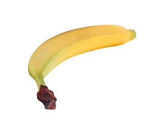 Image showing Single banana