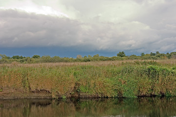 Image showing Summer landscape