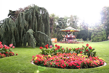 Image showing Nature landscape