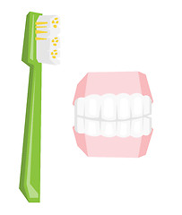 Image showing Dental jaw model and toothbrush.