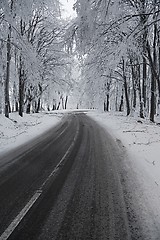 Image showing Winter Road Turns