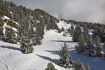 Image showing Skiing slopes from the top