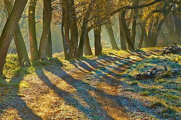 Image showing Autumn morning landscape