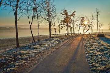Image showing Winter walkwy with frost
