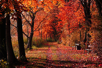 Image showing czech color autumn country 