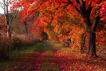 Image showing czech color autumn country 