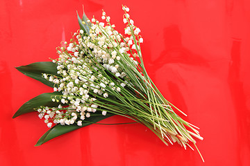 Image showing lily of valley