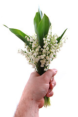 Image showing lily of valley