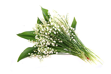 Image showing lily of valley