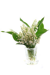 Image showing lily of valley