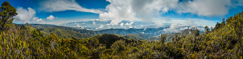 Image showing Hiking in Digne